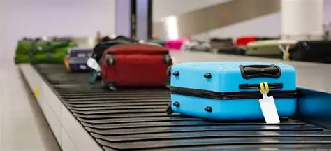 Hành lý ký gửi có mất tiền không? Phí ký gửi của từng hãng bay