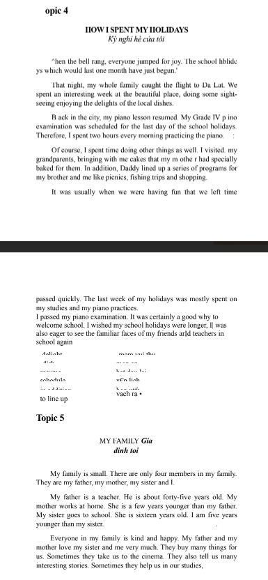 Sách 120 Bài Luận Tiếng Anh - Trần Mạnh Tường PDF tải FREE có tiếng Việt