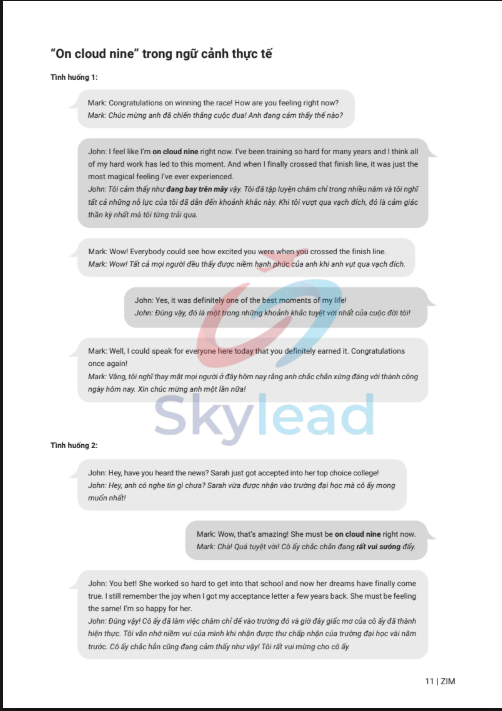 Sách Understanding Idioms For IELTS Speaking PDF tải FREE 2