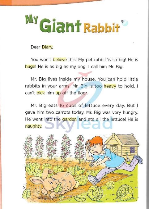 Tải FREE sách Bricks Reading 150 Level 2 PDF