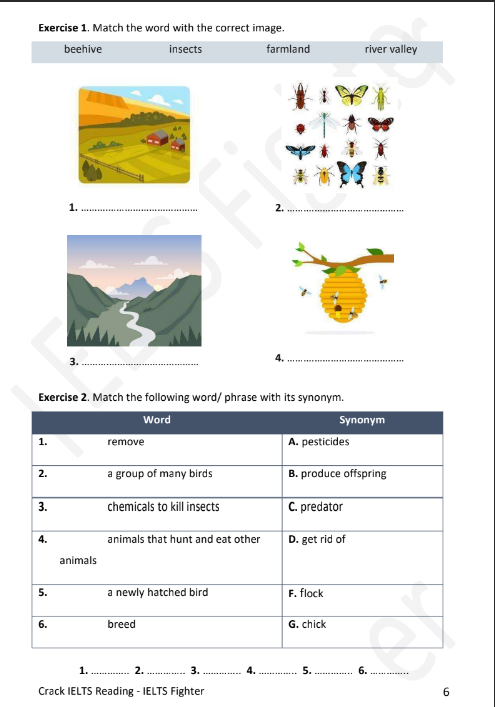 Tải FREE sách Crack IELTS PDF Tác Giả Sơn Phạm