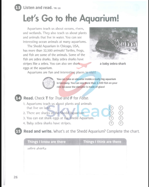 Tải FREE sách Explore Our World Level 4 Workbook PDF 1