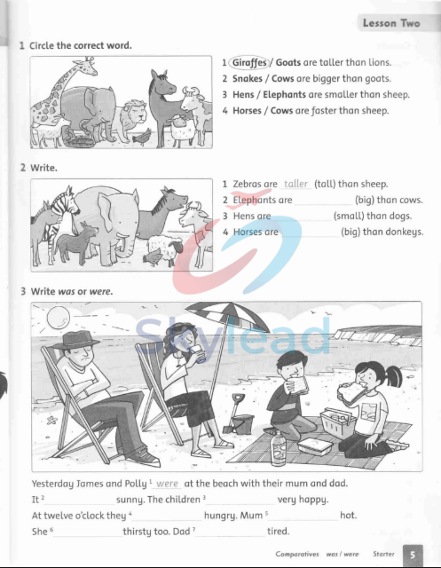 Tải FREE sách Family And Friends 3 Work Book PDF 2