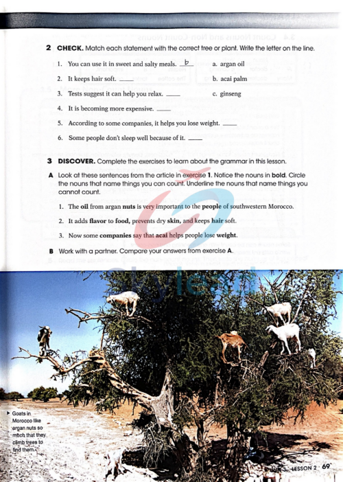 Tải FREE sách Grammar Explorer 2 PDF 2