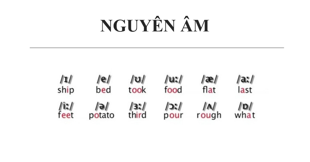 Tải FREE sách Phát Âm Tiếng Anh (IPA) PDF có tiếng Việt 3 Tải FREE sách Phát Âm Tiếng Anh (IPA) PDF có tiếng Việt