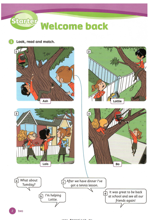 Tải FREE sách Team Together 4 Activity Book PDF