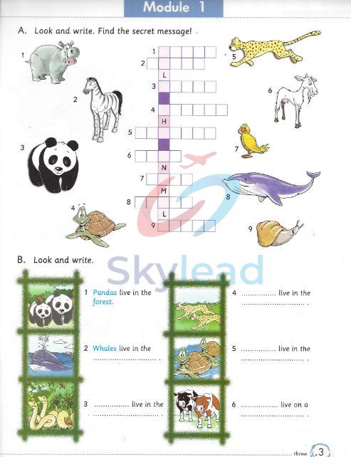 Tải FREE sách Welcome Aboard 4 Activity Book PDF 7 Tải FREE sách Welcome Aboard 4 Activity Book PDF