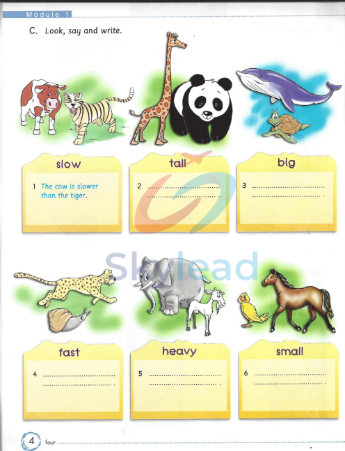 Tải FREE sách Welcome Aboard 4 Activity Book PDF 6 Tải FREE sách Welcome Aboard 4 Activity Book PDF