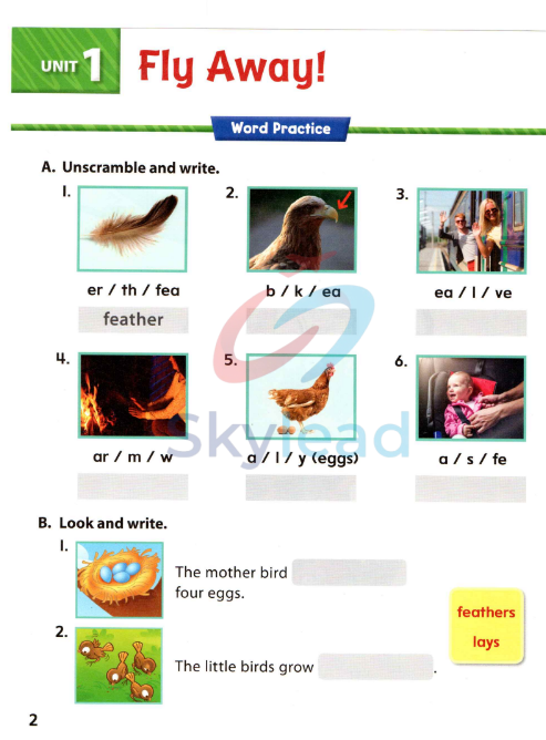Tải FREE sách WonderSkills Reading Basic 2 Workbook PDF 7 Tải FREE sách WonderSkills Reading Basic 2 Workbook PDF