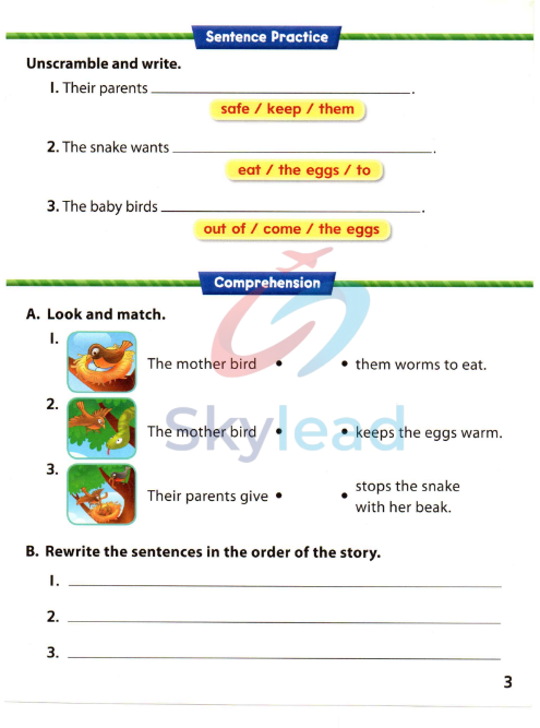 Tải FREE sách WonderSkills Reading Basic 2 Workbook PDF 6 Tải FREE sách WonderSkills Reading Basic 2 Workbook PDF