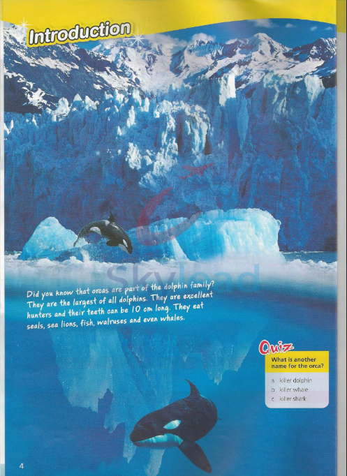 Tải FREE sách Wonderful World 3 Student's Book And Worbook PDF