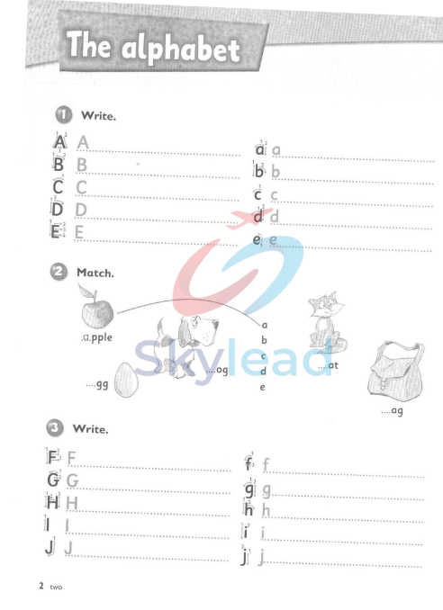 Tải FREE sách Wonderland Junior A Activity Book PDF
