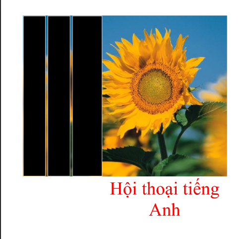 Tài Liệu Hội Thoại Tiếng Anh Tổng Hợp PDF tải FREE