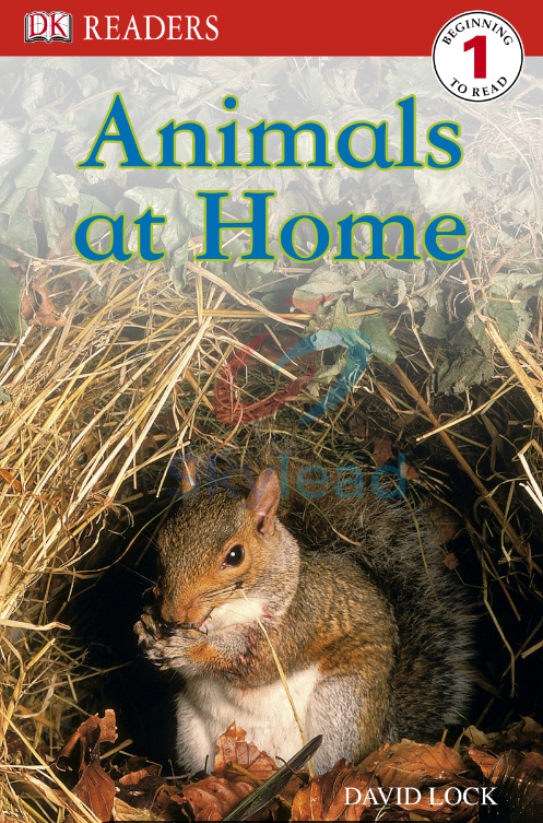 Trang chủ 17 Tải FREE sách Animals At Home 1 PDF