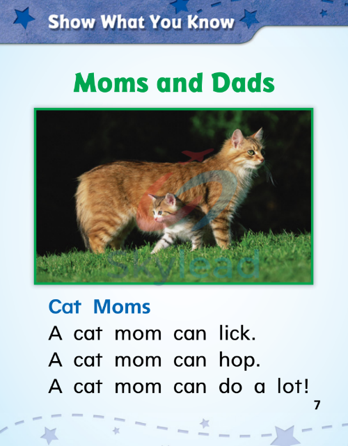 Tải FREE sách Our Families, Our Neighbors PDF - Phonics Practice