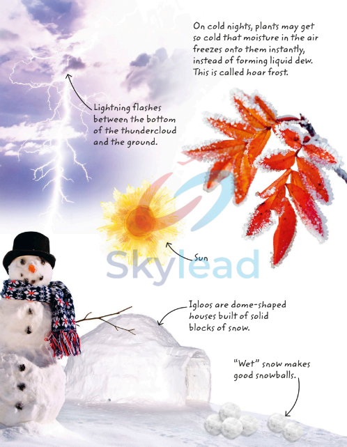 Tải FREE sách Weather Explore Nature With Fun Facts And Activities PDF