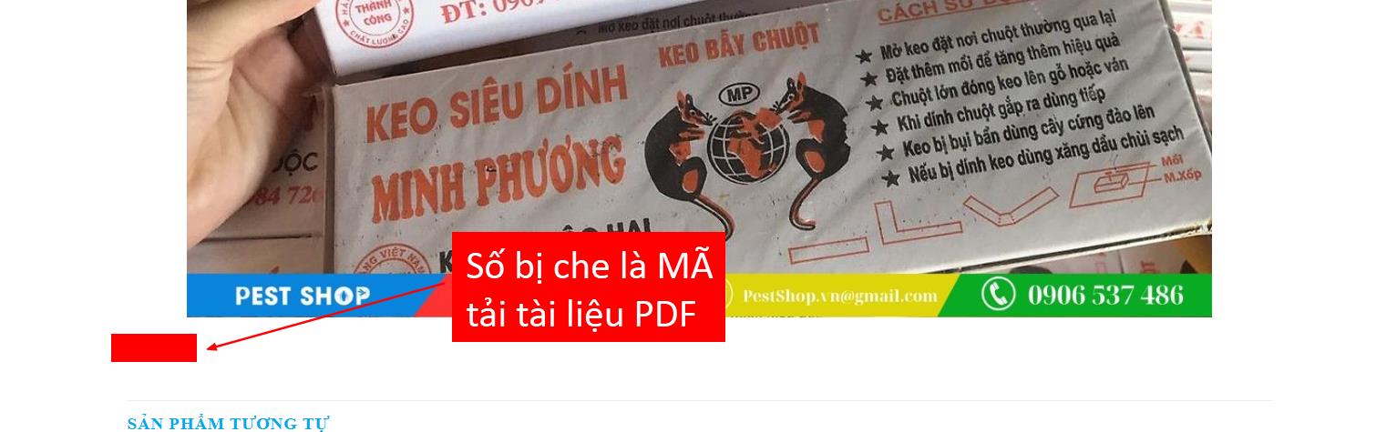 Tải FREE sách Gogo Loves English 3 PDF - New Edition 3 2